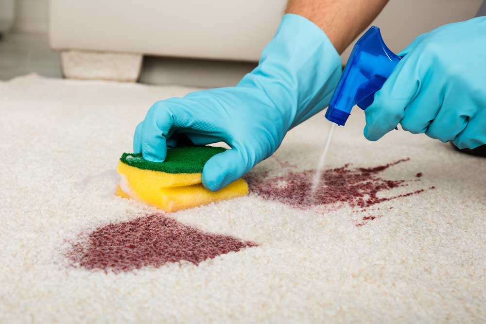 Household Stains