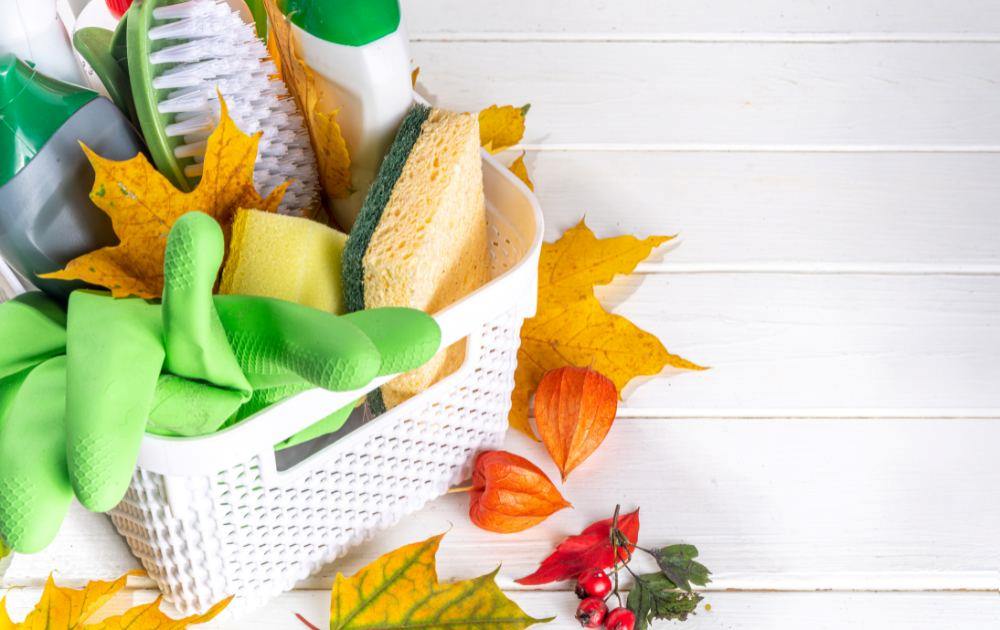 Fall cleaning strategies