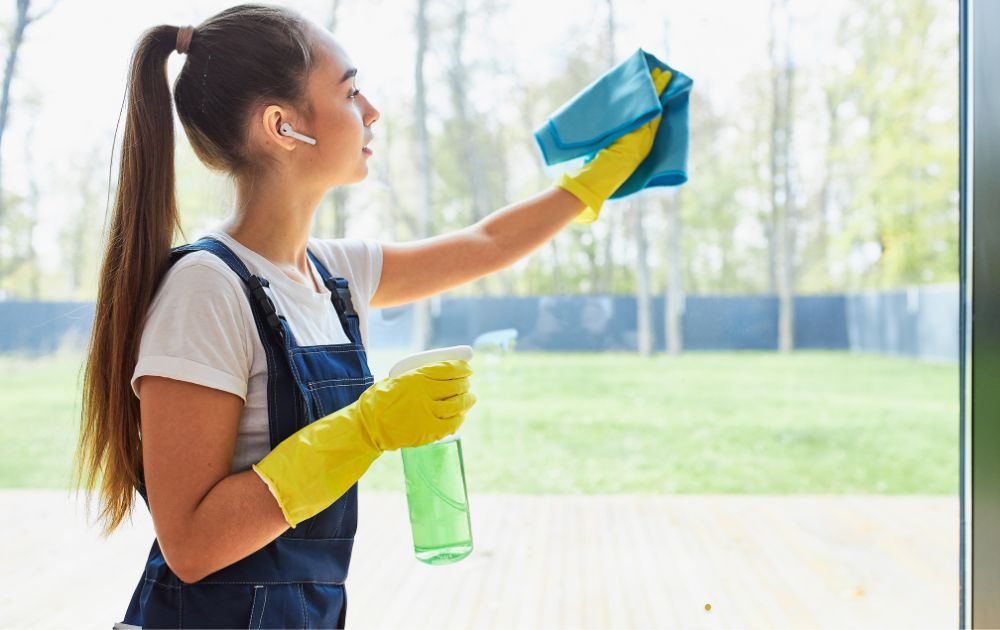 Professional Window Cleaning in Summer