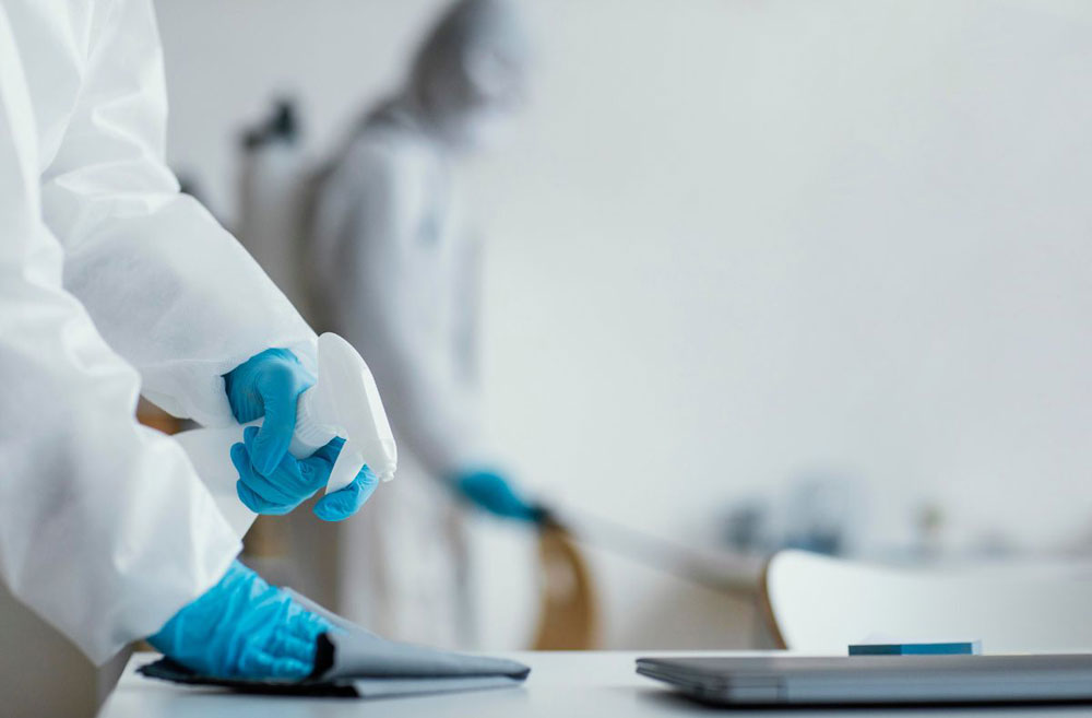 professional disinfection services