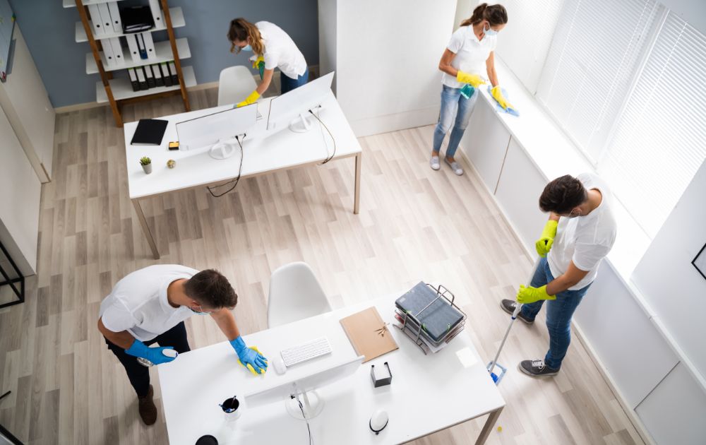 professional cleaning services