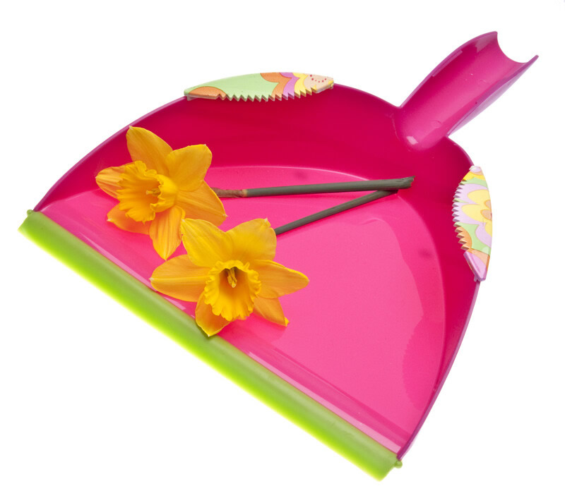 cleaning services in ocala