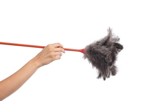 Dusting Knick Knacks is a Dreaded Task