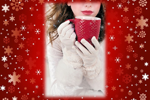 Holiday Frenzy