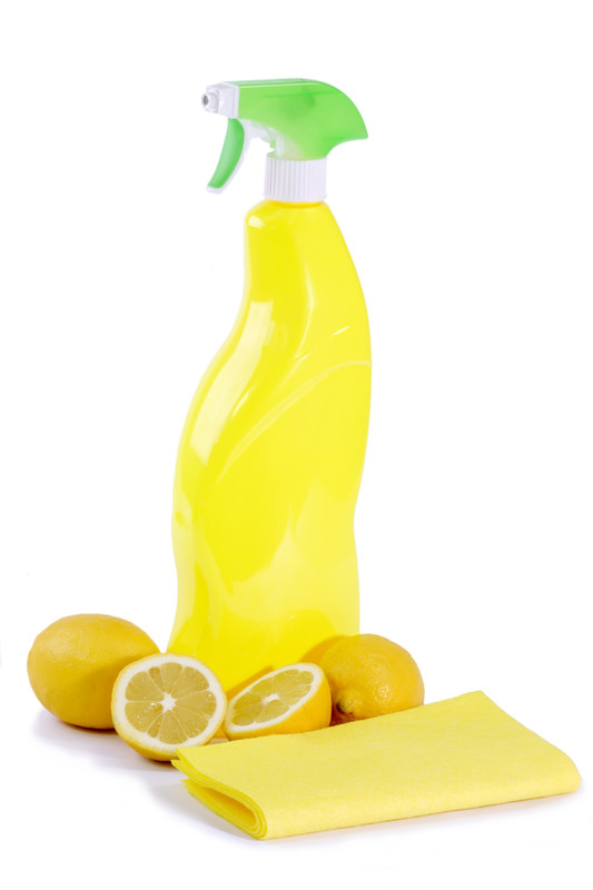 Cleaning services ocala florida