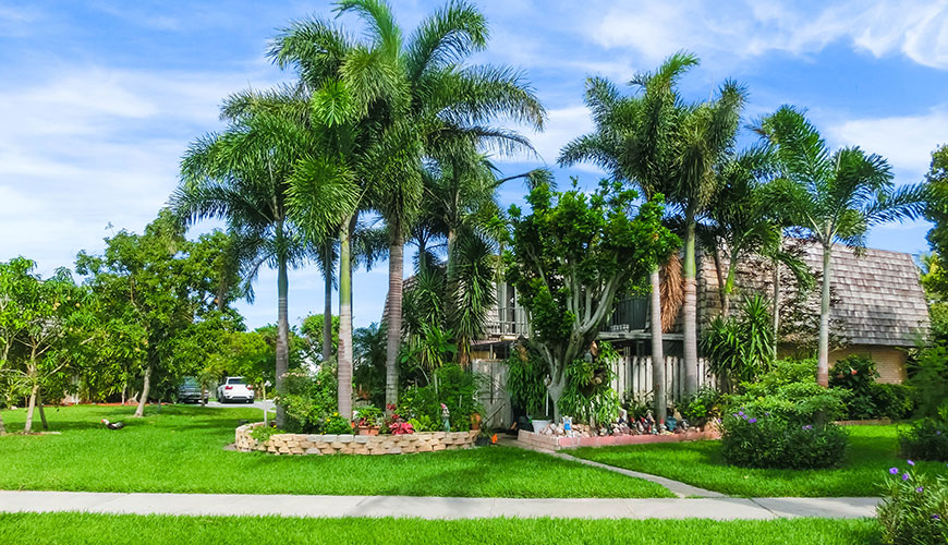 Lawn Care Services Ocala Florida