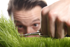 Lawn Care