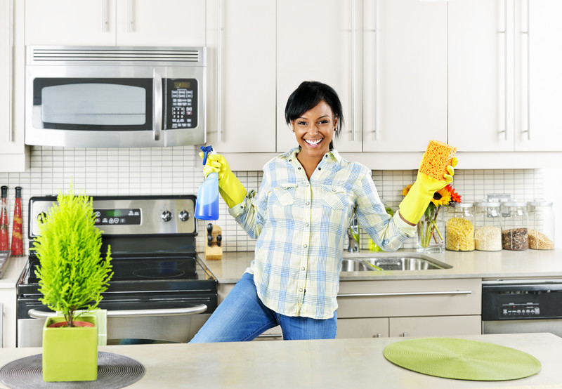 ocala cleaning service