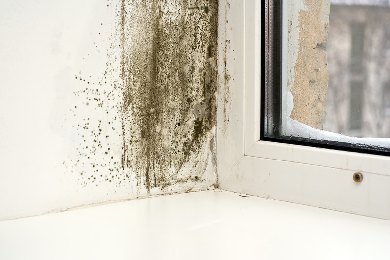 Carpet Cleaning Services