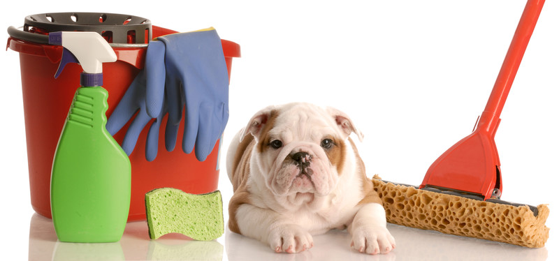ocala cleaning service
