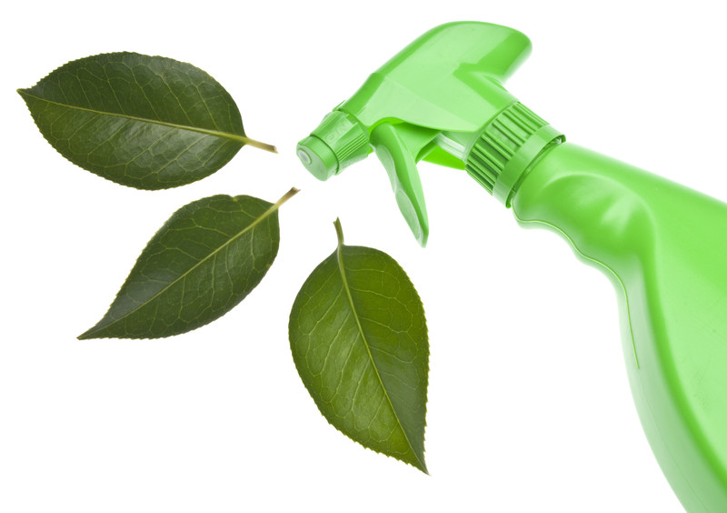 Cleaning services ocala florida