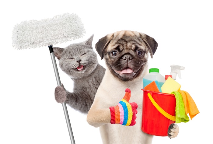 Maintaining a Clean Home