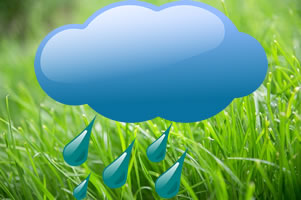 Lawn care during rainy season