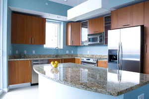 Care of Stainless steel appliances