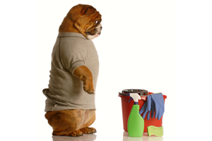Pet Friendly Environment – Part 1